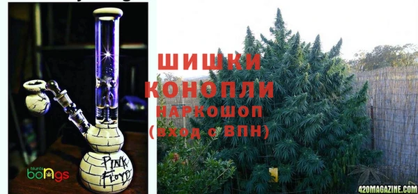 шишки Алексеевка